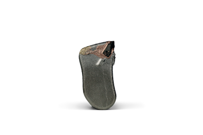 Outil HRT® adapté aux broyeurs Seppi (alternative au Mini Duo) avec revêtement WearShield supplémentaire derrière les pointes tc.